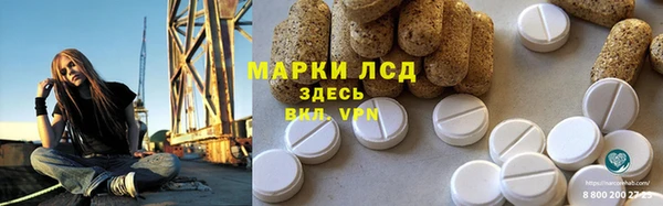 ГАЛЛЮЦИНОГЕННЫЕ ГРИБЫ Вязники