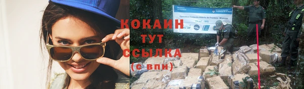 PSILOCYBIN Волоколамск
