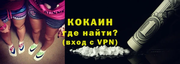 ГАЛЛЮЦИНОГЕННЫЕ ГРИБЫ Вязники