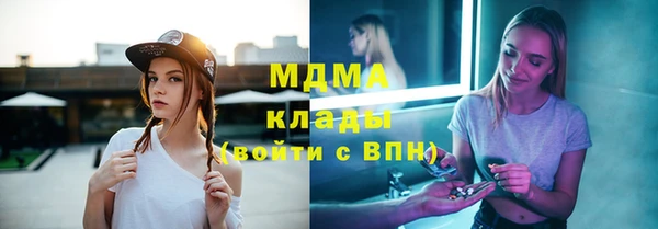 прущие грибы Верея